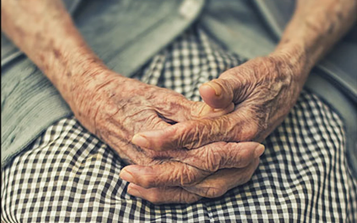 Fisioterapia geriátrica